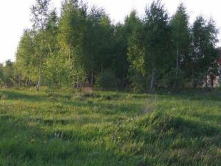 Живописные и уютные участки в 15 км от Минска, Раковское направление.