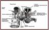 Ремонт турбокомпрессоров для автомобильных двигателй Garrett, Mitsubishi, IHI, Holset,